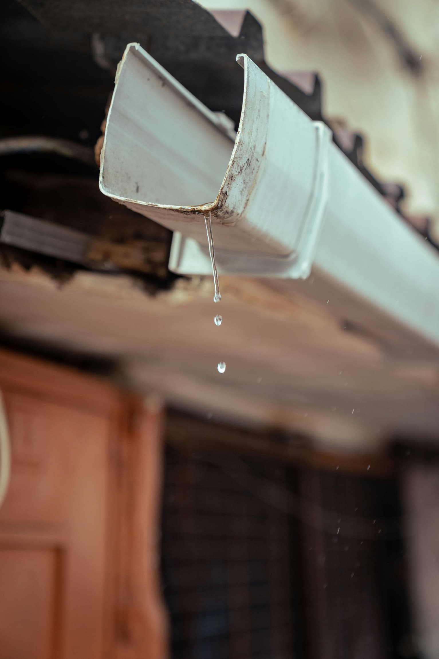 Gutter cleaning service